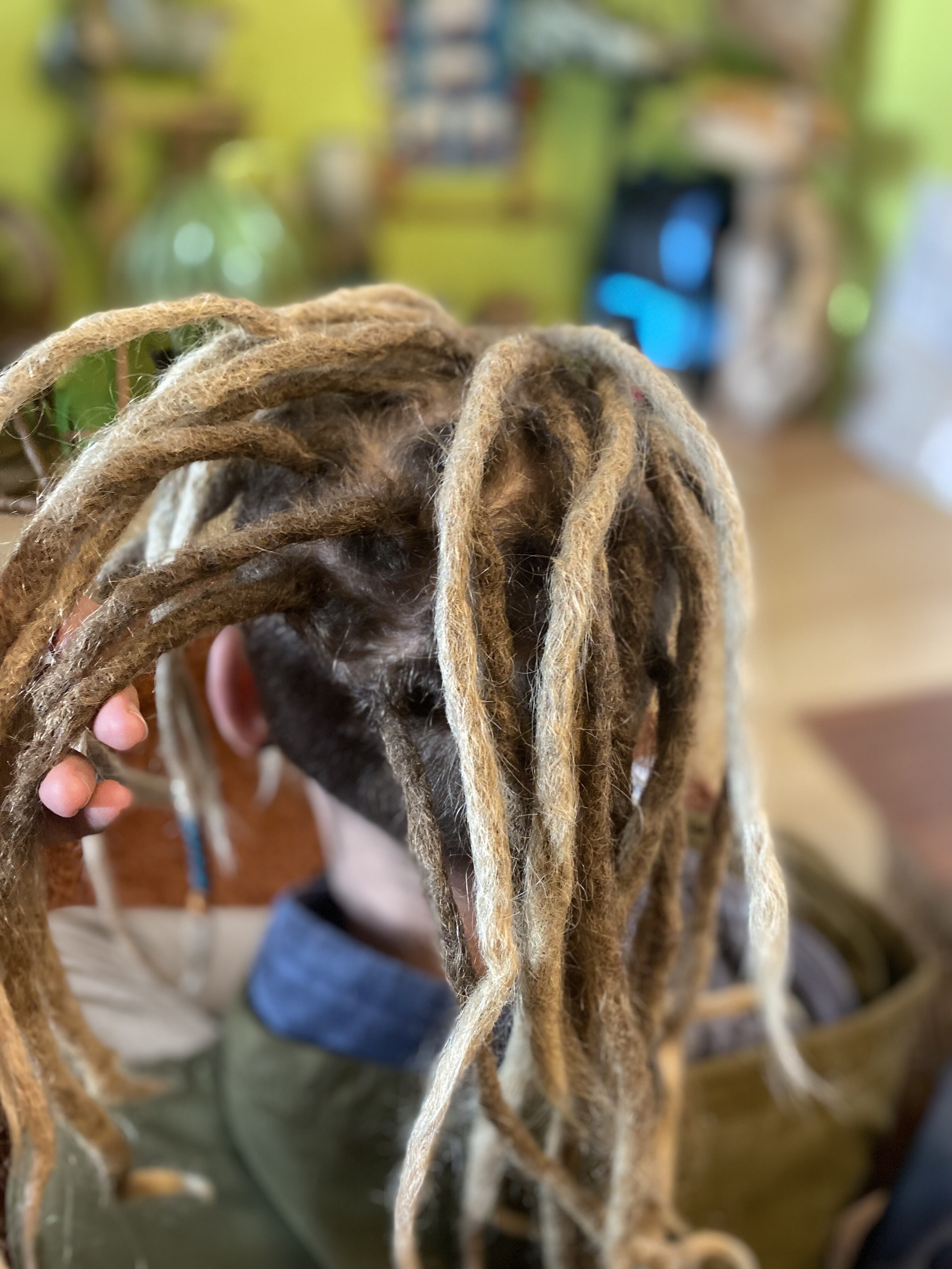 Ansatzpflege von Dreadlocks